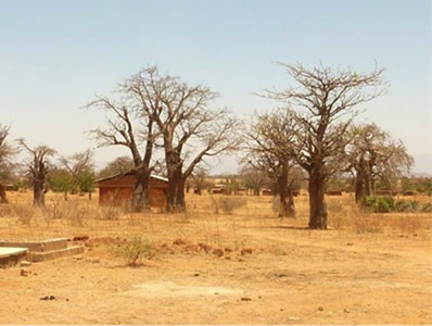 Chololo village, Tanzania